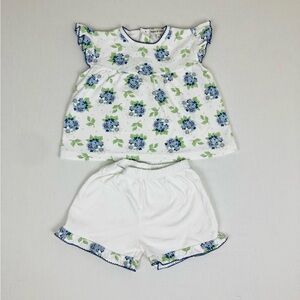 Marco & Lizzy white with blue floral pattern shorts and shirt set. Size 3T